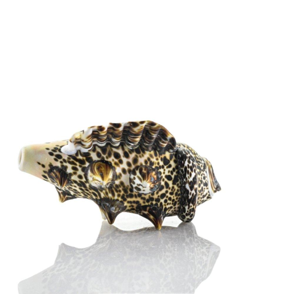 Hardman Shell Pipe 101 - Smoke Spot Smoke Shop