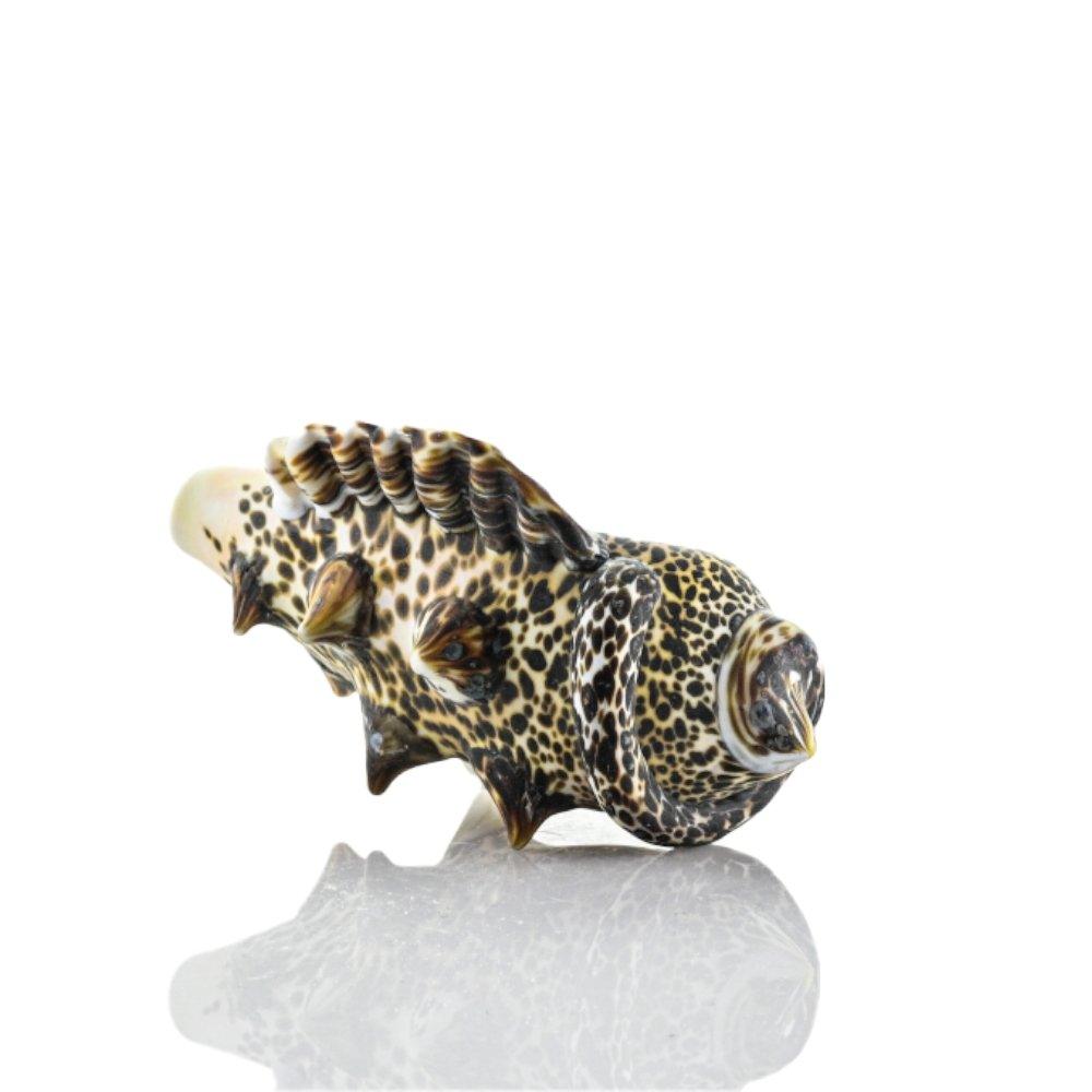 Hardman Shell Pipe 101 - Smoke Spot Smoke Shop