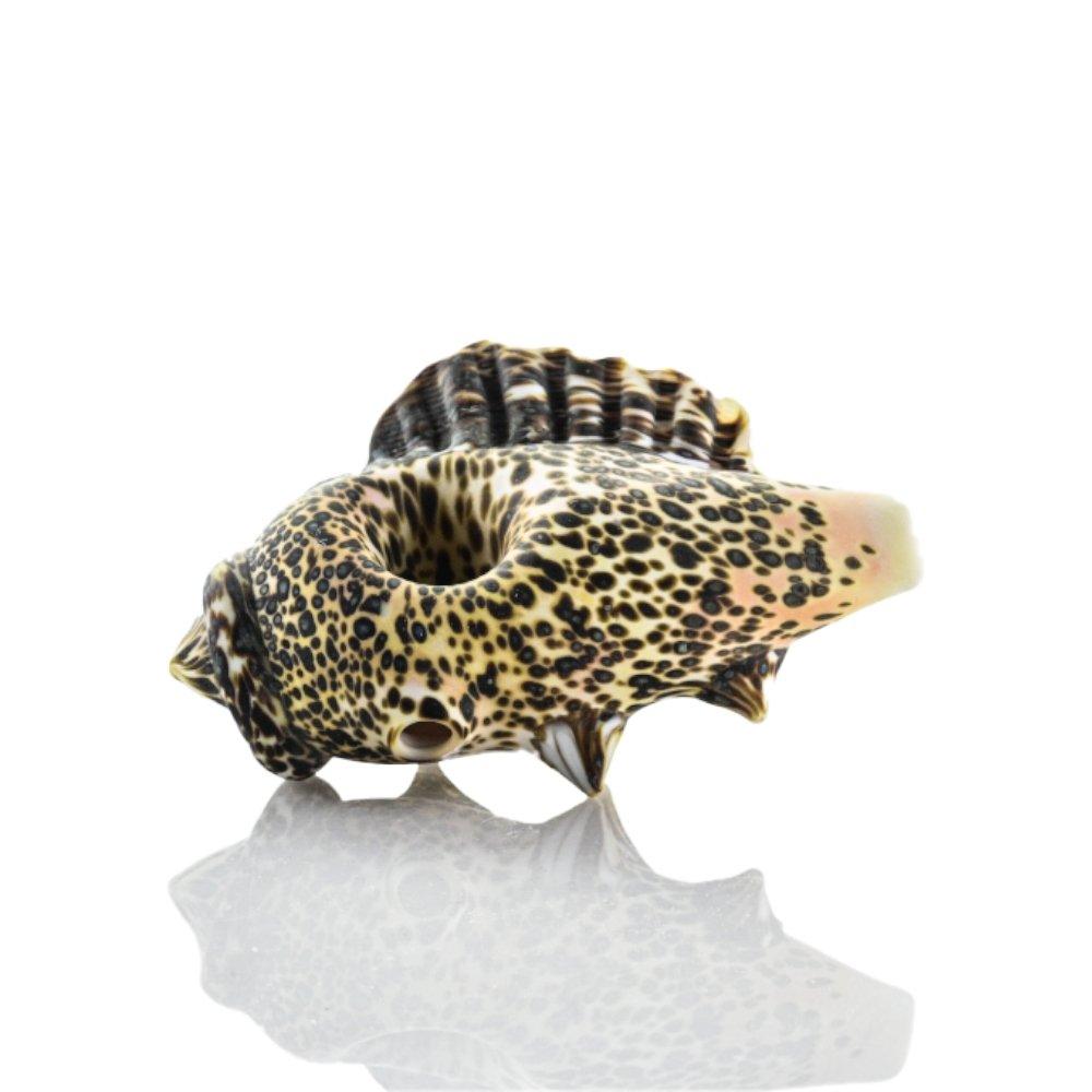 Hardman Shell Pipe 101 - Smoke Spot Smoke Shop